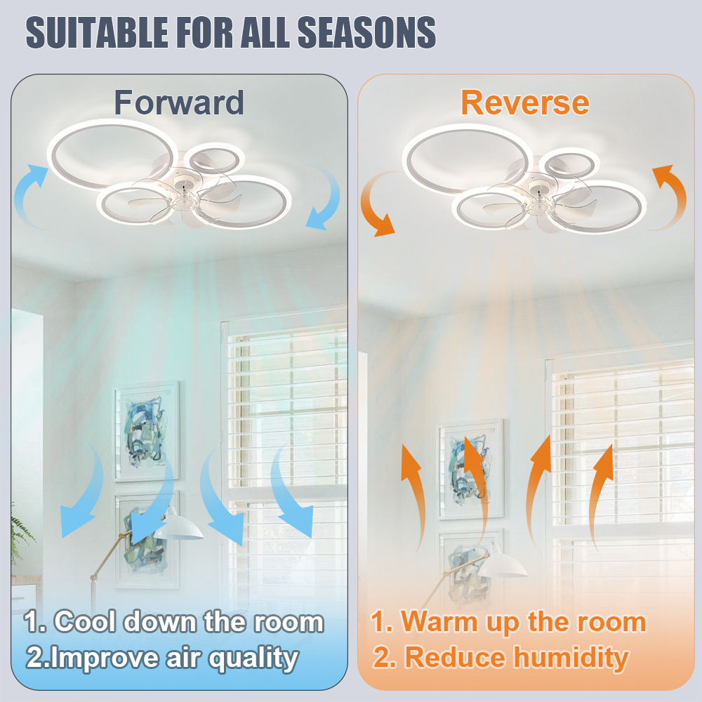 Four-ring ceiling fan light wi - Setting Spray 评论和价格